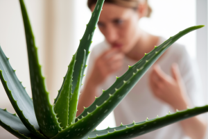 aloe-vera-gel-peau-inquiete
