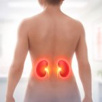 silhouette-humaine-reins-decor-medical